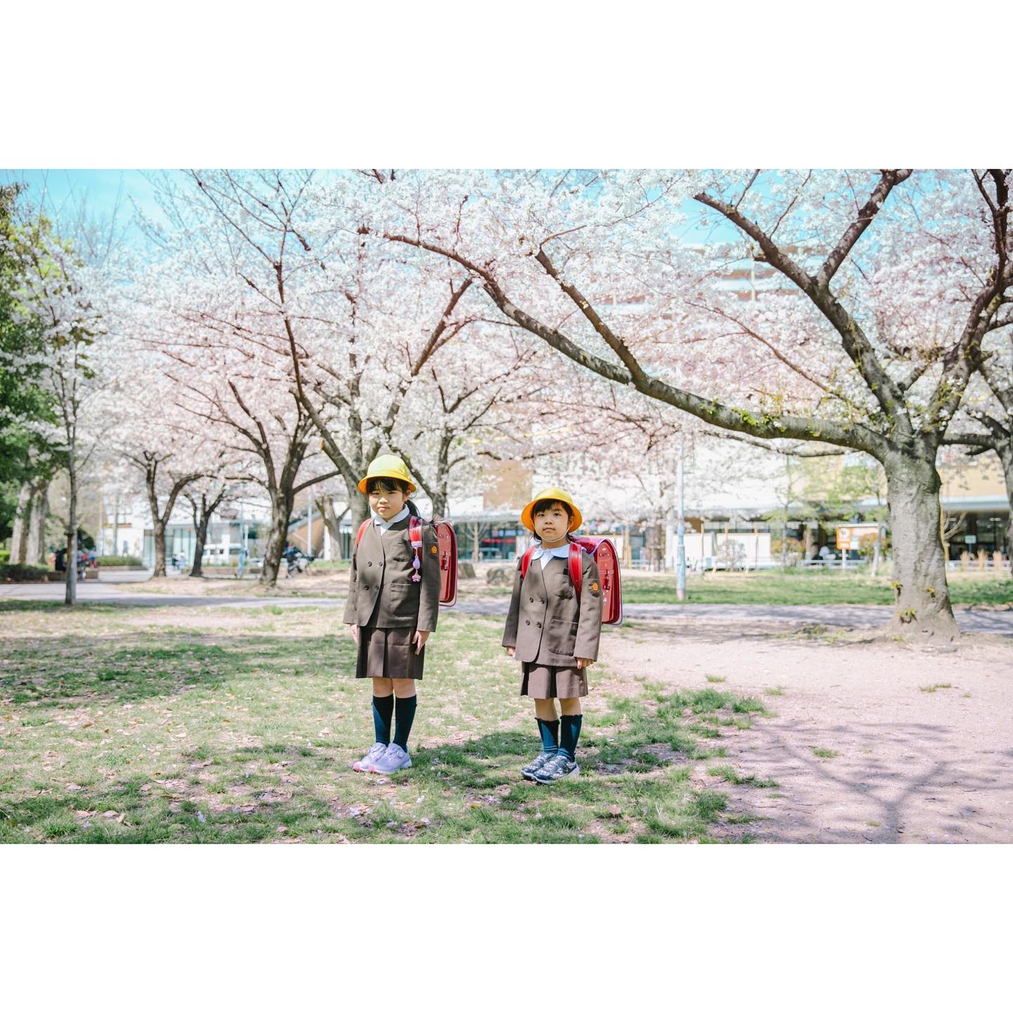 入園入学キャンペーン2023#hamuの入園入学キャンペーン 急な告知にもか変わらず、ご予約、お問い合わせありがとうございます枠も少ない中で検討してくださりありがとうございます❣️予定していた、土佐稲荷公園がコロナ前恒例だった屋台が出始め、前日急に撮る場所難民になり彷徨いましたが、無事に良き場所に行き付きました♡写真のランドセルぺこり写真は、今回どうしてもやってみたかった　組み写真です️教科書などは、娘の使い古したものを持参しましたお付き合いいただき、ありがとうございました❣️やりたいーーーと言う方、お声かけください♡♡#3takeした#回を重ねるごとにタイミングもあって完璧なぺこり#最高ー️って叫んだ